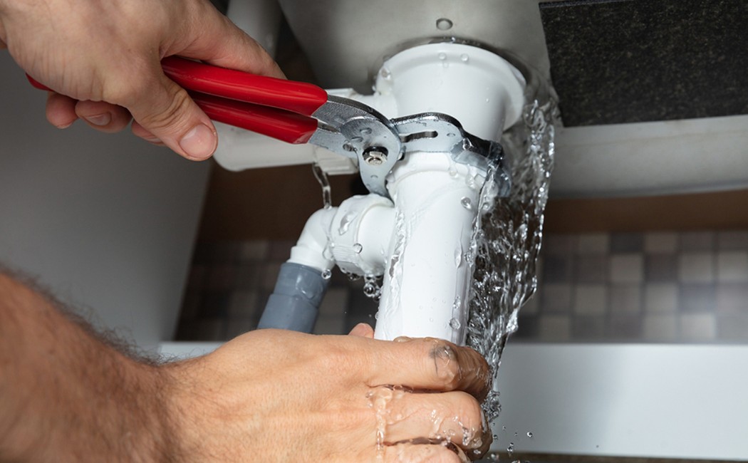 Leak Repair Specialists or Plumbers